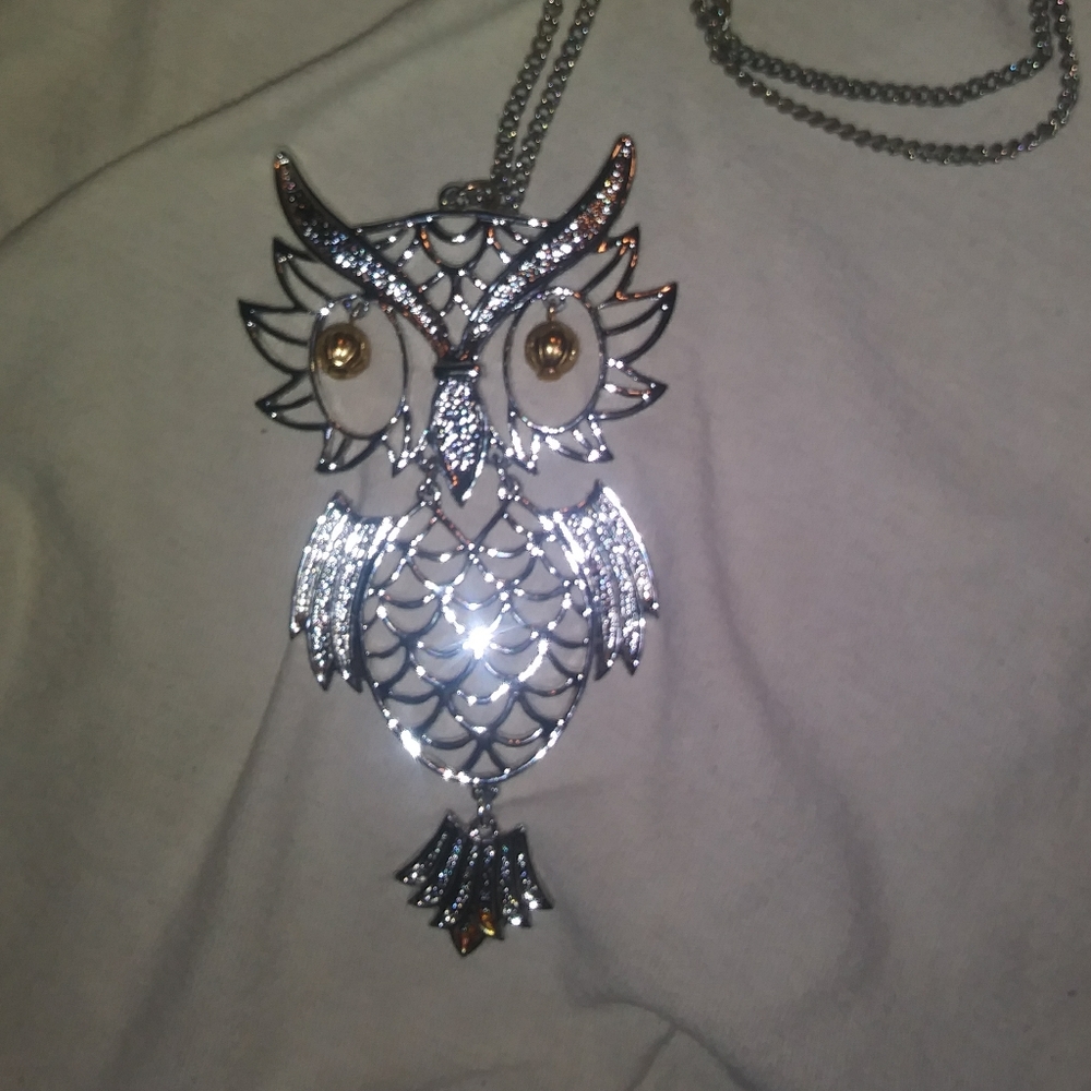 Hoo's looking for an awesome owl necklace